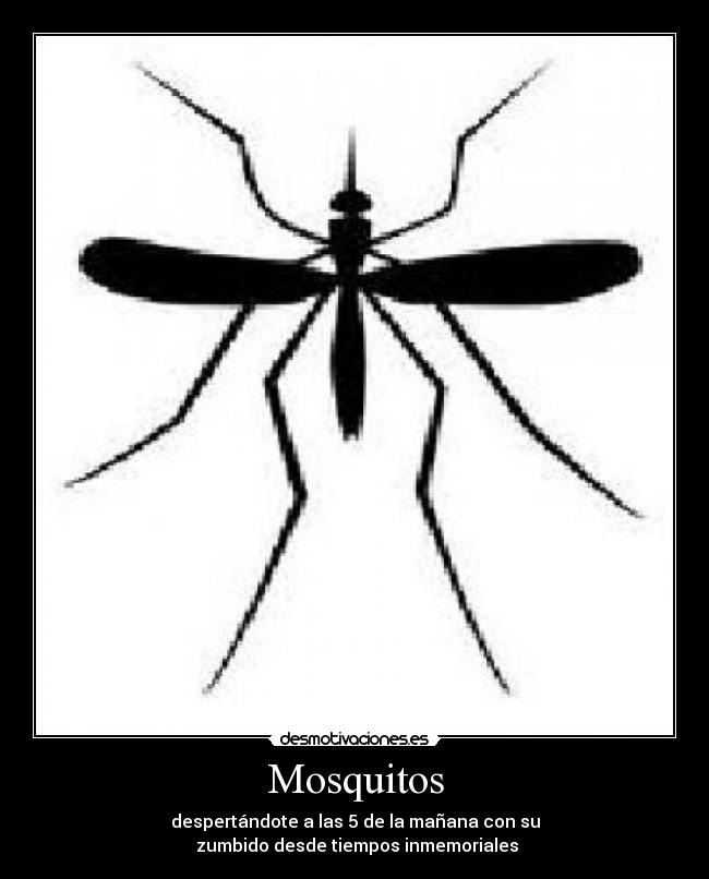 Mosquitos - despertándote a las 5 de la mañana con su
zumbido desde tiempos inmemoriales