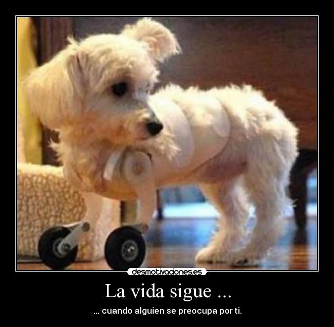 La vida sigue ... - ... cuando alguien se preocupa por ti.