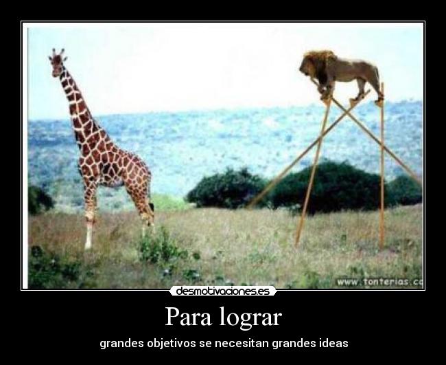 Para lograr -