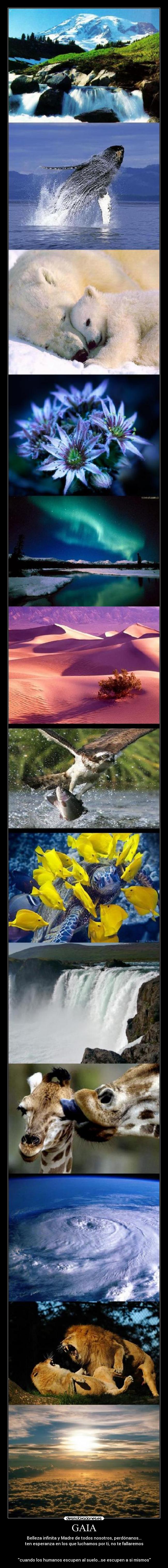 GAIA - Belleza infinita y Madre de todos nosotros, perdónanos...
ten esperanza en los que luchamos por ti, no te fallaremos


cuando los humanos escupen al suelo...se escupen a si mismos