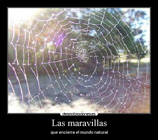 Las maravillas - 