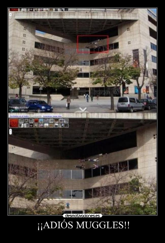 ¡¡ADIÓS MUGGLES!! -