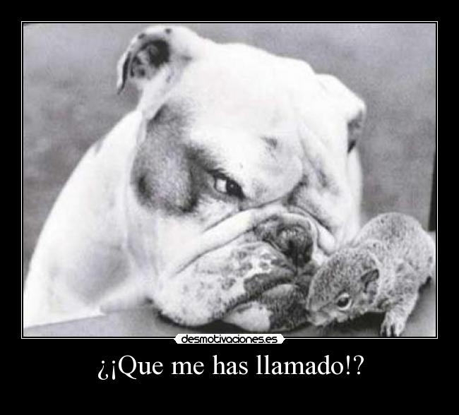 ¿¡Que me has llamado!? -