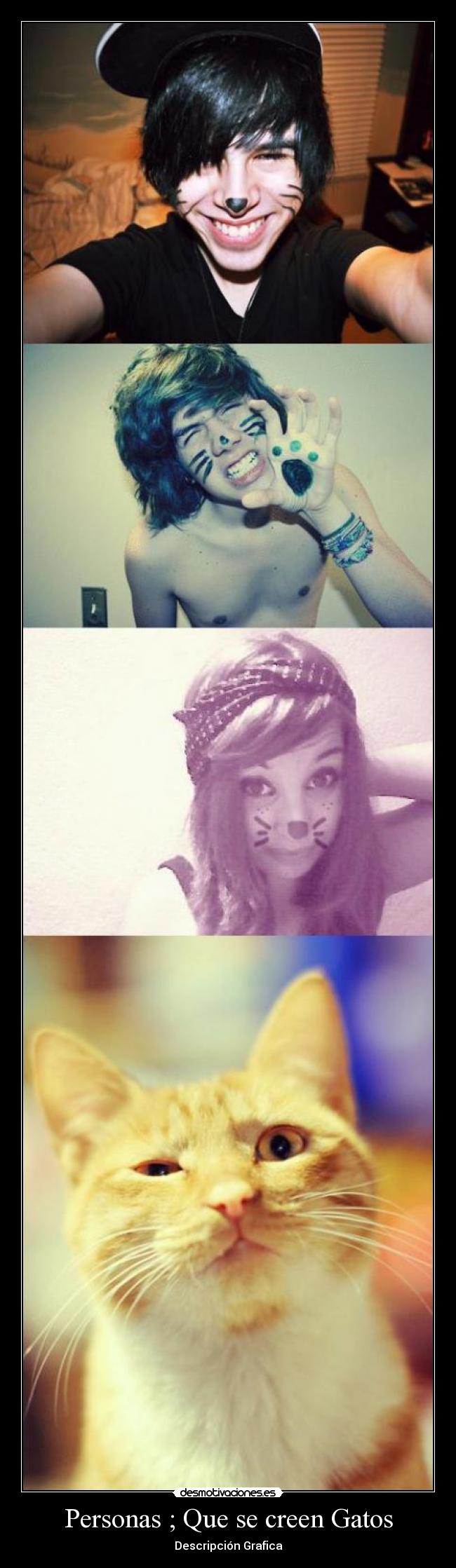Personas ; Que se creen Gatos - Descripción Grafica