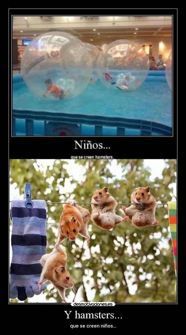 Y hamsters... - que se creen niños...