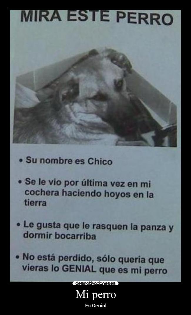 Mi perro - Es Genial
