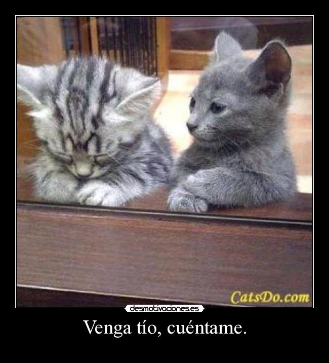 Venga tío, cuéntame. -