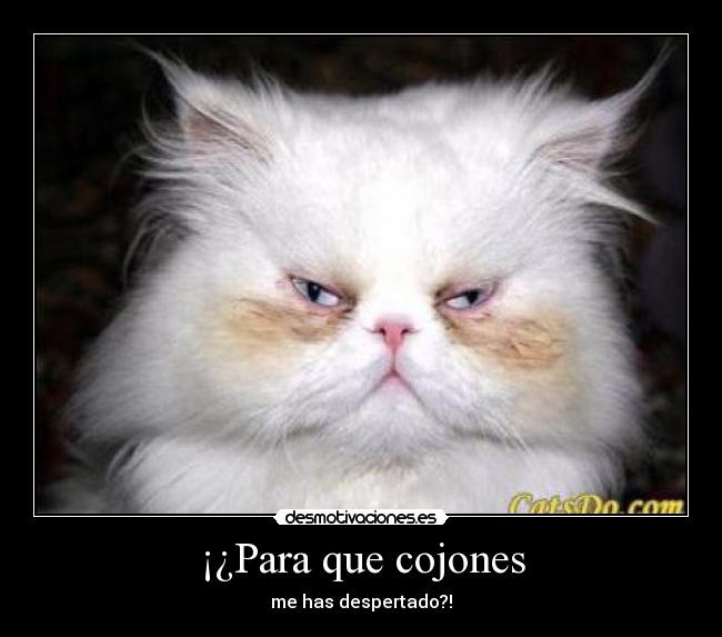 ¡¿Para que cojones - me has despertado?!