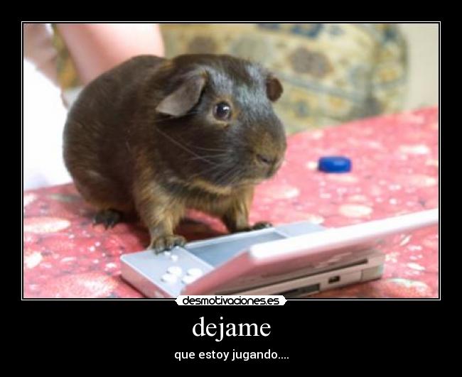 dejame -