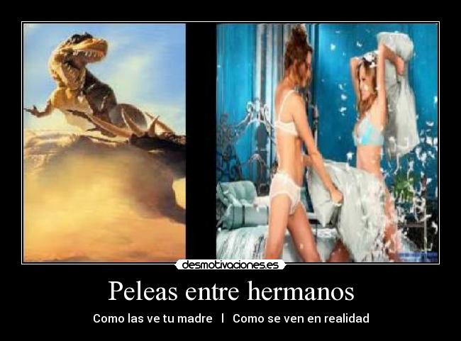Peleas entre hermanos - 