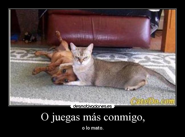 O juegas más conmigo, - o lo mato.