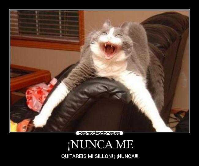 carteles sillon desmotivaciones