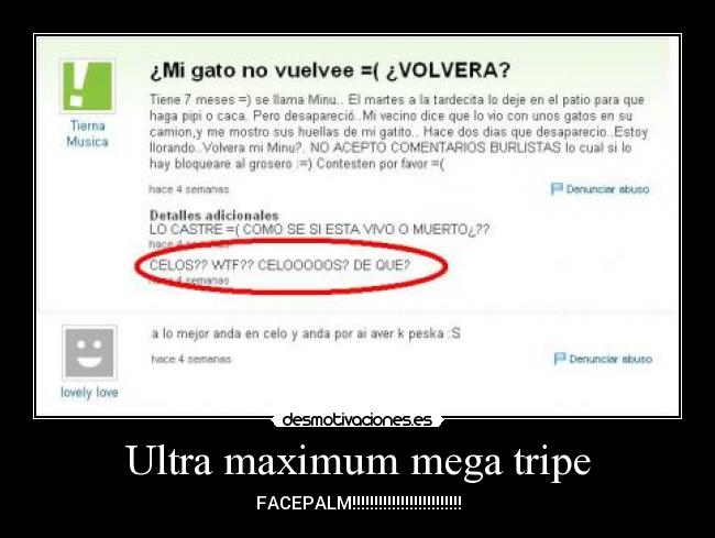 carteles facepalm pendeja celo gato desmotivaciones