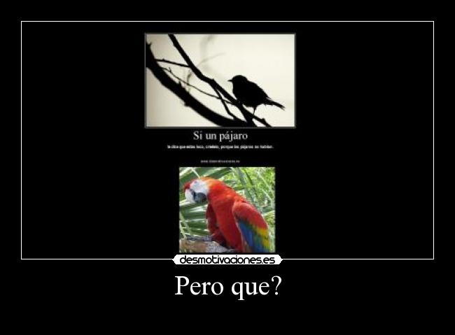 Pero que? - 