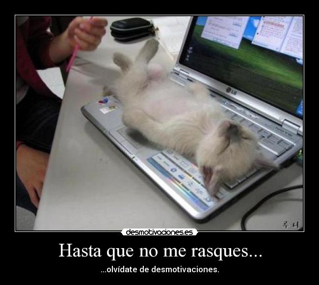 Hasta que no me rasques... - ...olvídate de desmotivaciones.