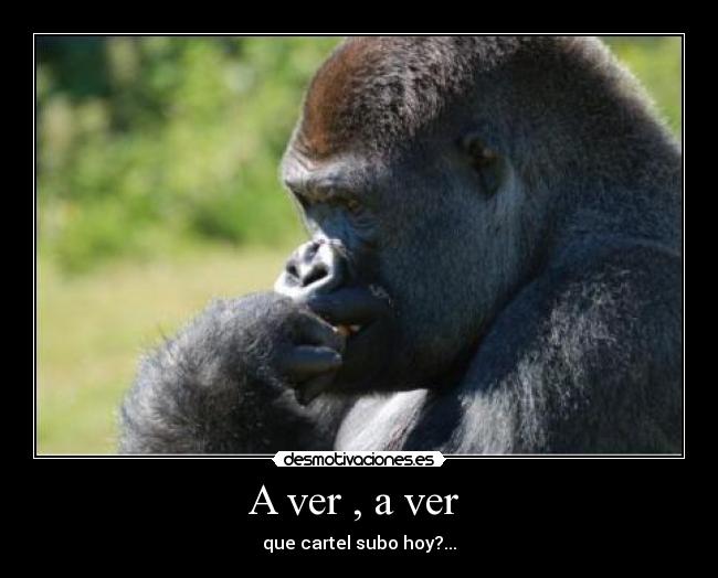 A ver , a ver  - 