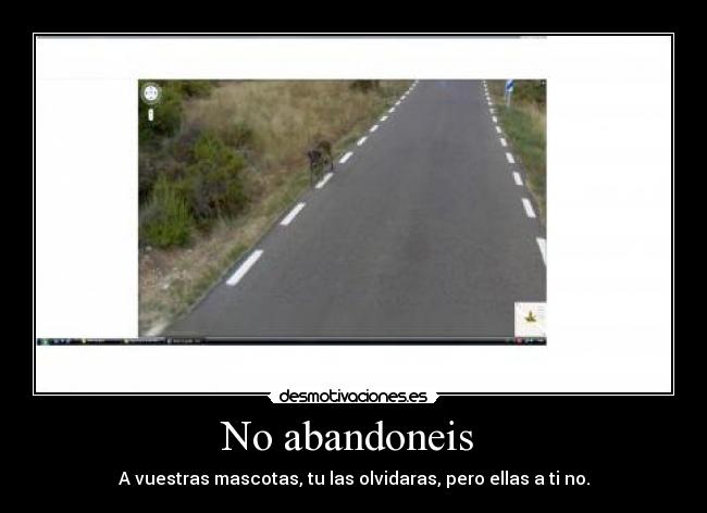 No abandoneis  - A vuestras mascotas, tu las olvidaras, pero ellas a ti no.
