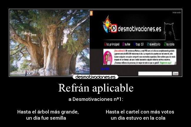 Refrán aplicable - a Desmotivaciones nº1:
Hasta el árbol más grande, Hasta el cartel con más votos
un día fue semilla un día estuvo en la cola