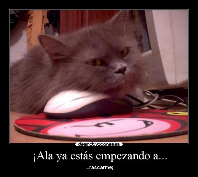 ¡Ala ya estás empezando a... - ...rascarme¡