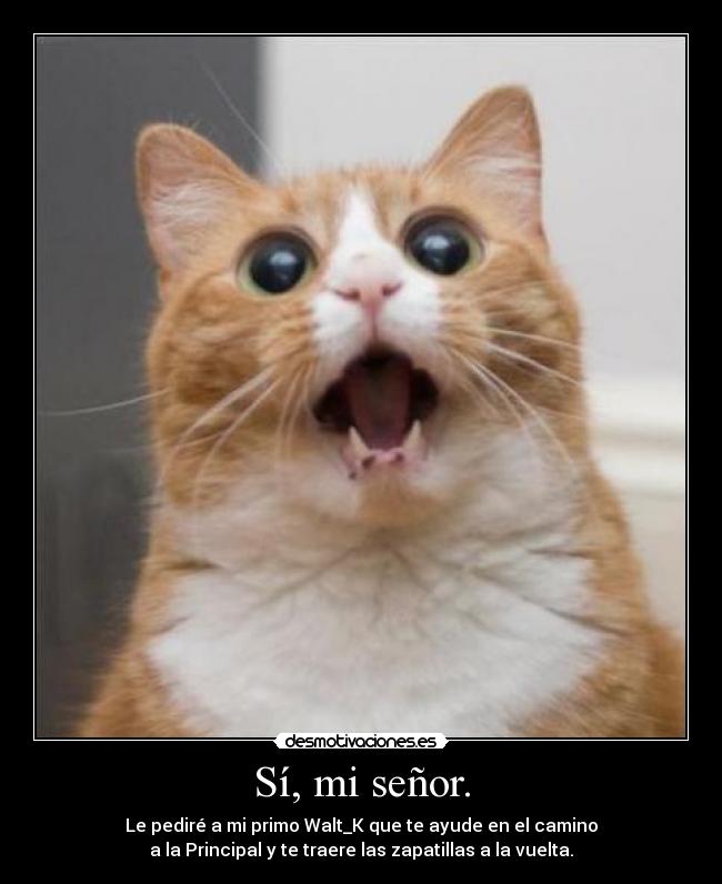 Sí, mi señor. - 