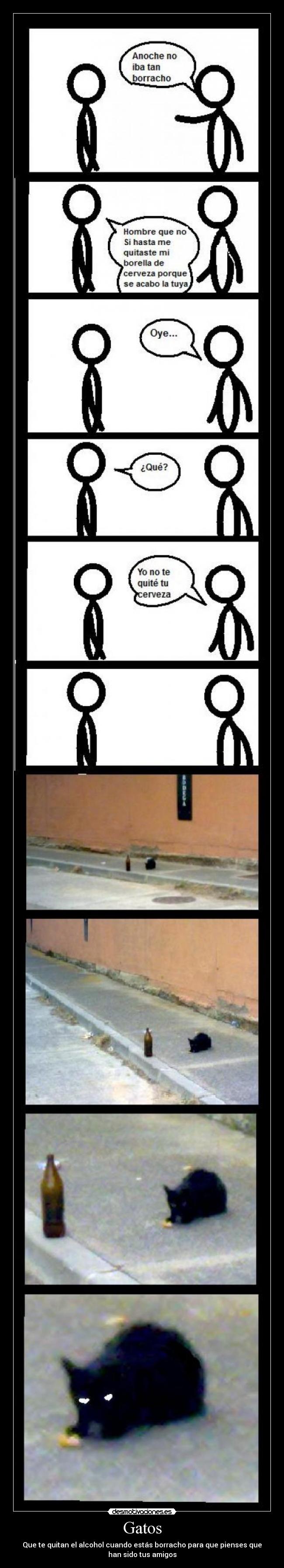 Gatos - Que te quitan el alcohol cuando estás borracho para que pienses que
han sido tus amigos
