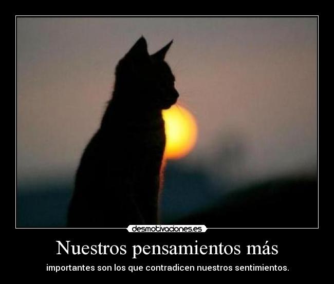 Nuestros pensamientos más - 