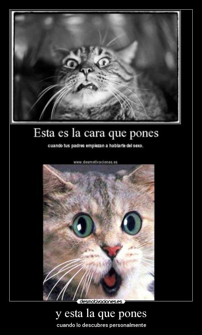 carteles adfasf desmotivaciones