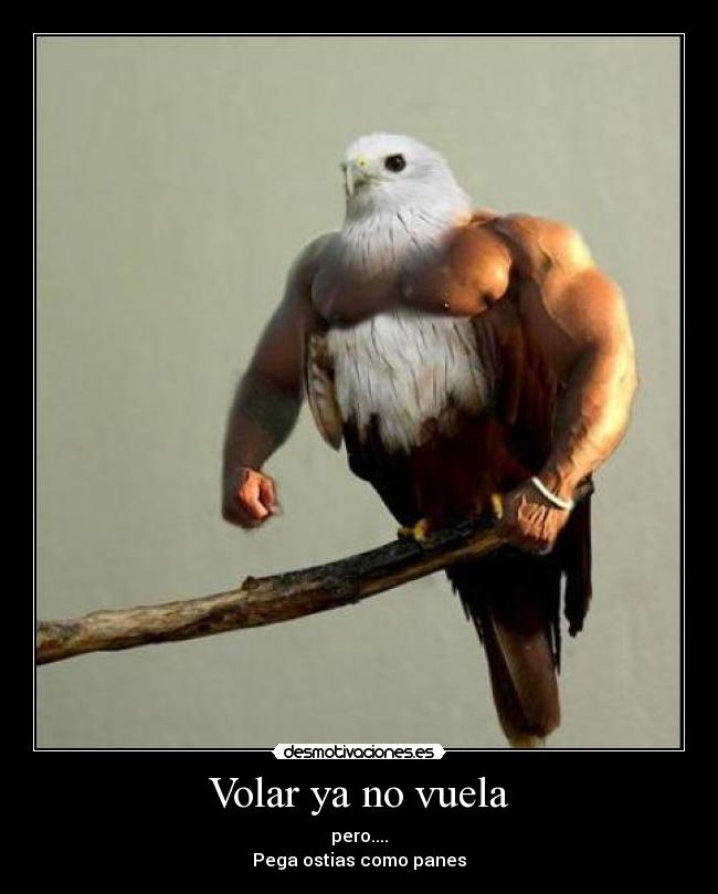 Volar ya no vuela - pero....
Pega ostias como panes
