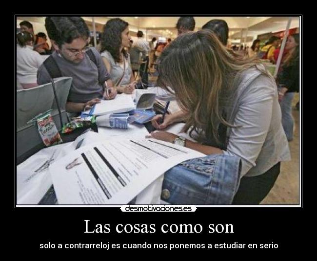 carteles estudia cabrona desmotivaciones