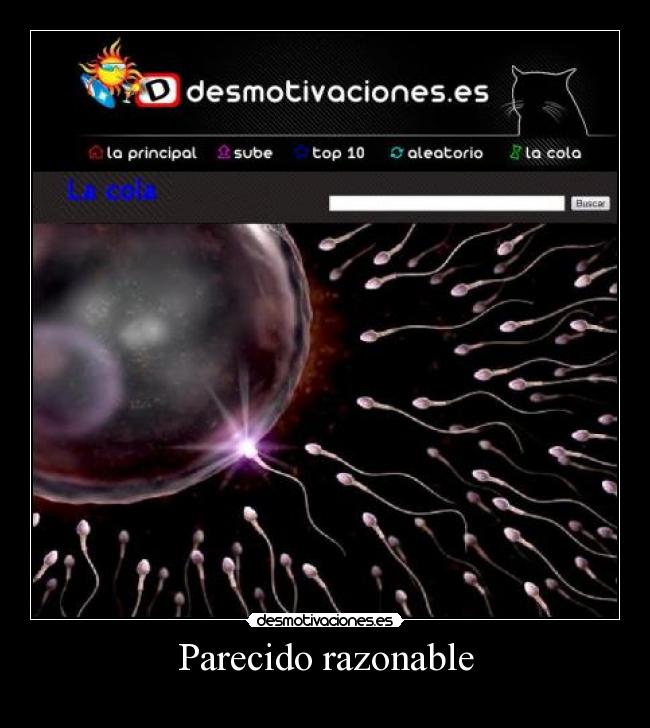 Parecido razonable -