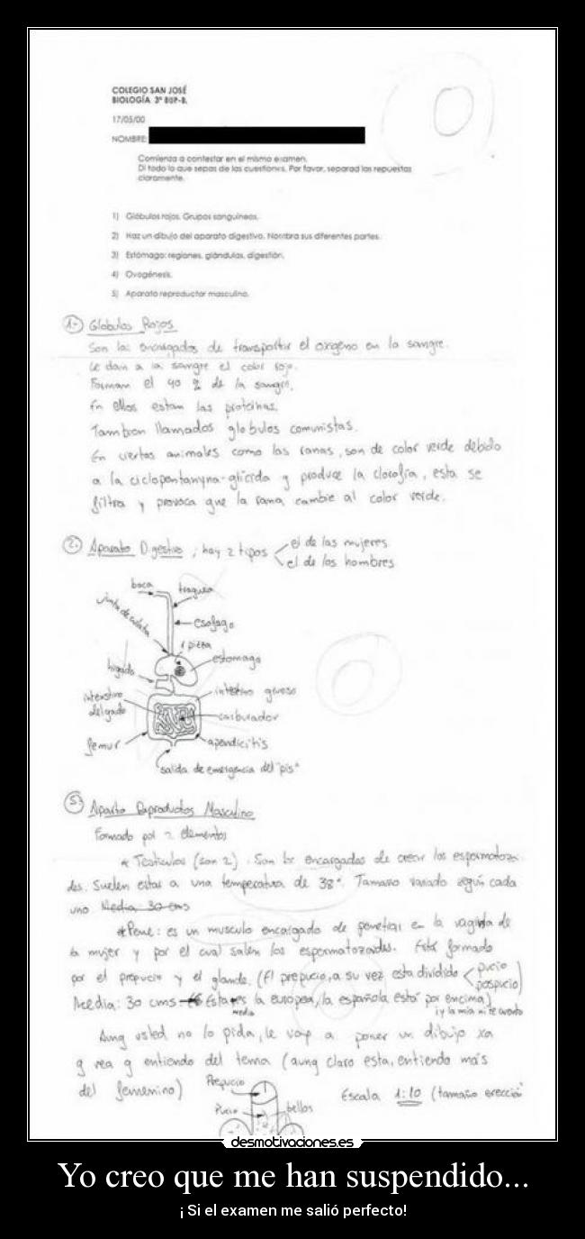 Yo creo que me han suspendido... - ¡ Si el examen me salió perfecto!