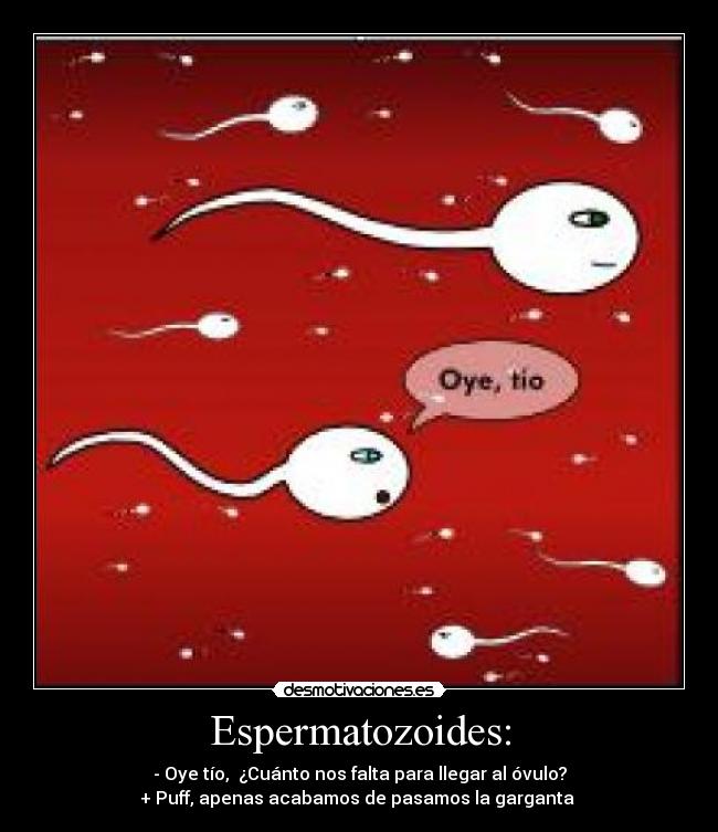 Espermatozoides: - - Oye tío, ¿Cuánto nos falta para llegar al óvulo?
+ Puff, apenas acabamos de pasamos la garganta