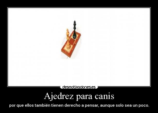 Ajedrez para canis -