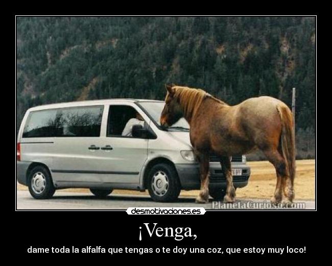 ¡Venga, - dame toda la alfalfa que tengas o te doy una coz, que estoy muy loco!
