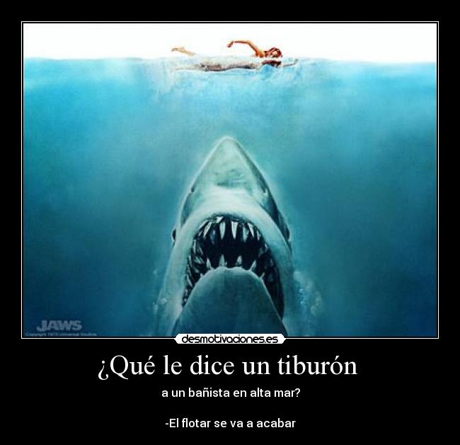 ¿Qué le dice un tiburón  - a un bañista en alta mar?

-El flotar se va a acabar