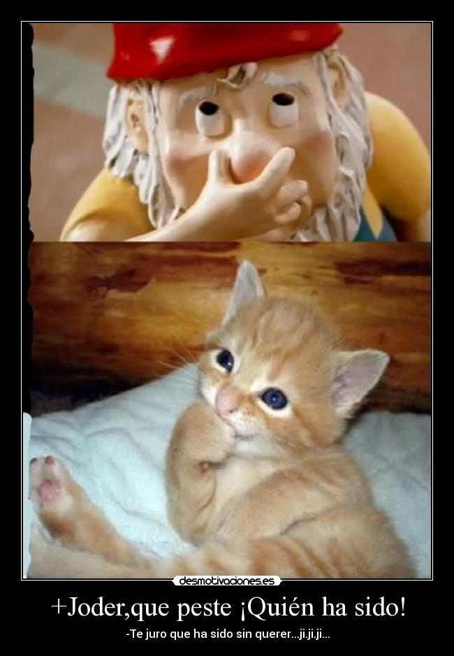 carteles pedo gatosnomo peste desmotivaciones