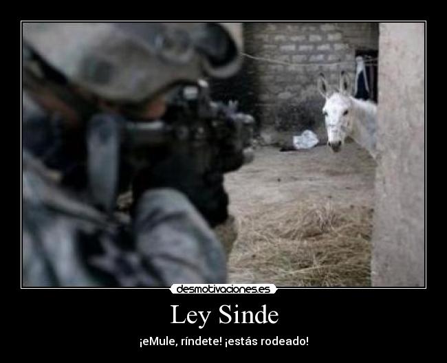 Ley Sinde - ¡eMule, ríndete! ¡estás rodeado!