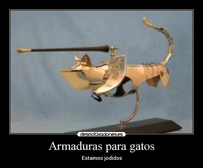 Armaduras para gatos - Estamos jodidos