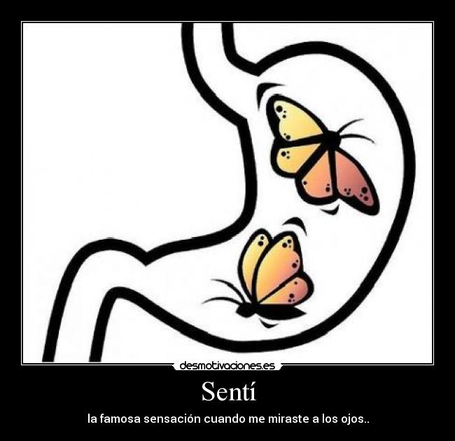 carteles mariposas estomago desmotivaciones