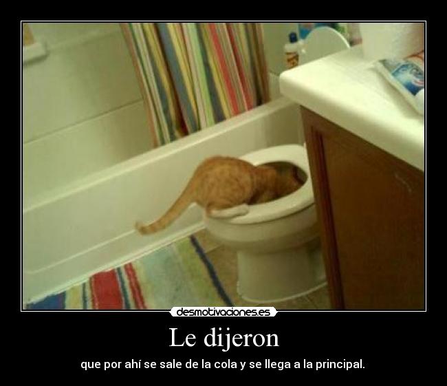 Le dijeron - 