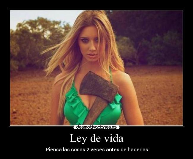 carteles vida rubia coqueta desmotivaciones