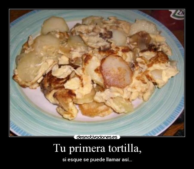carteles tortilla mal echa desmotivaciones