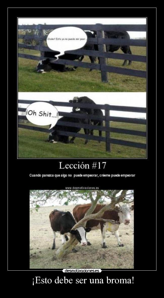 ¡Esto debe ser una broma! - 