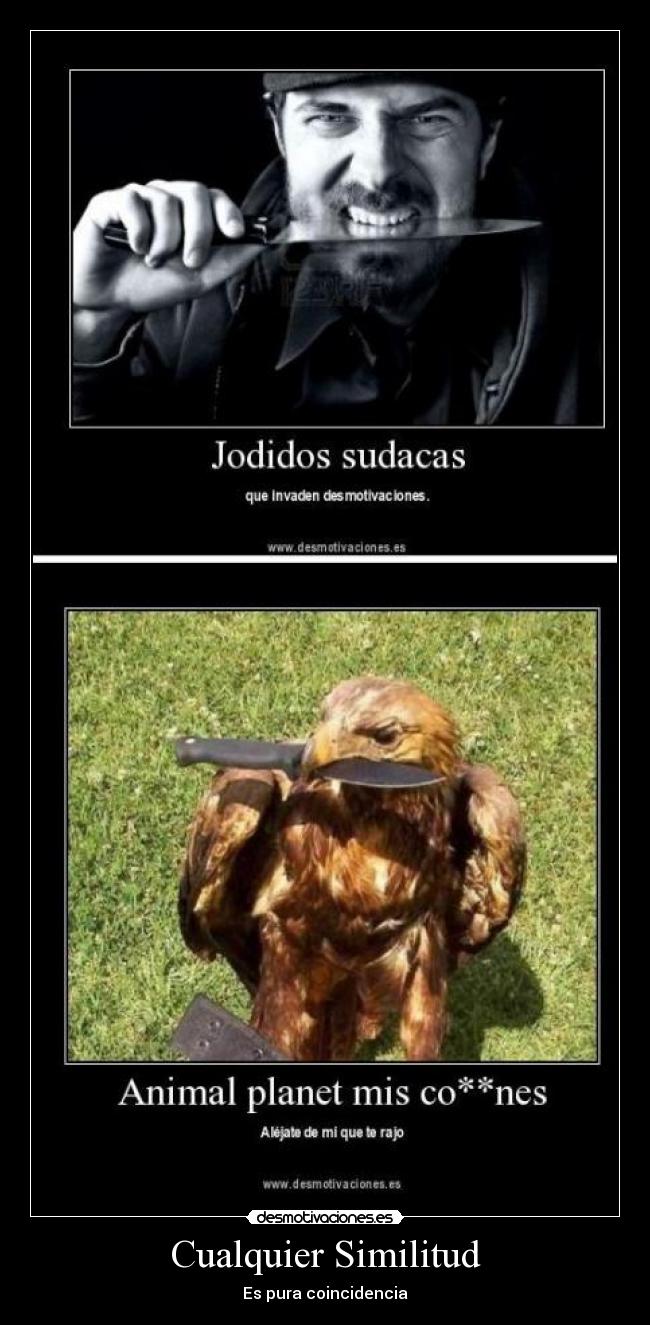 Cualquier Similitud - Es pura coincidencia