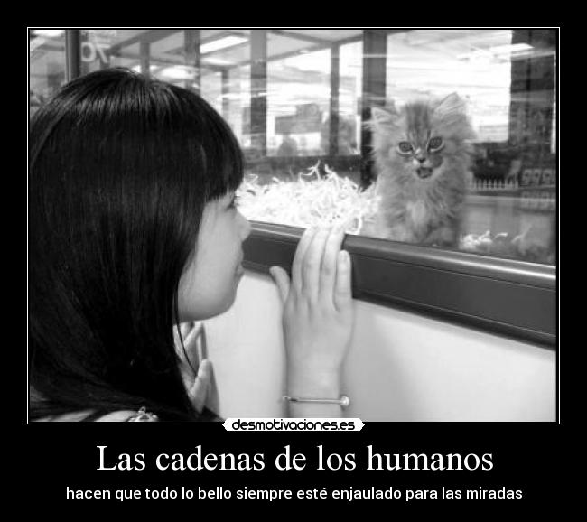Las cadenas de los humanos - hacen que todo lo bello siempre esté enjaulado para las miradas
