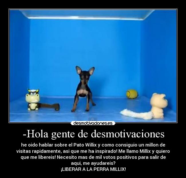 -Hola gente de desmotivaciones - he oido hablar sobre el Pato Willix y como consiguio un millon de
visitas rapidamente, asi que me ha inspirado! Me llamo Millix y quiero
que me libereis! Necesito mas de mil votos positivos para salir de
aqui, me ayudareis?
¡LIBERAR A LA PERRA MILLIX!