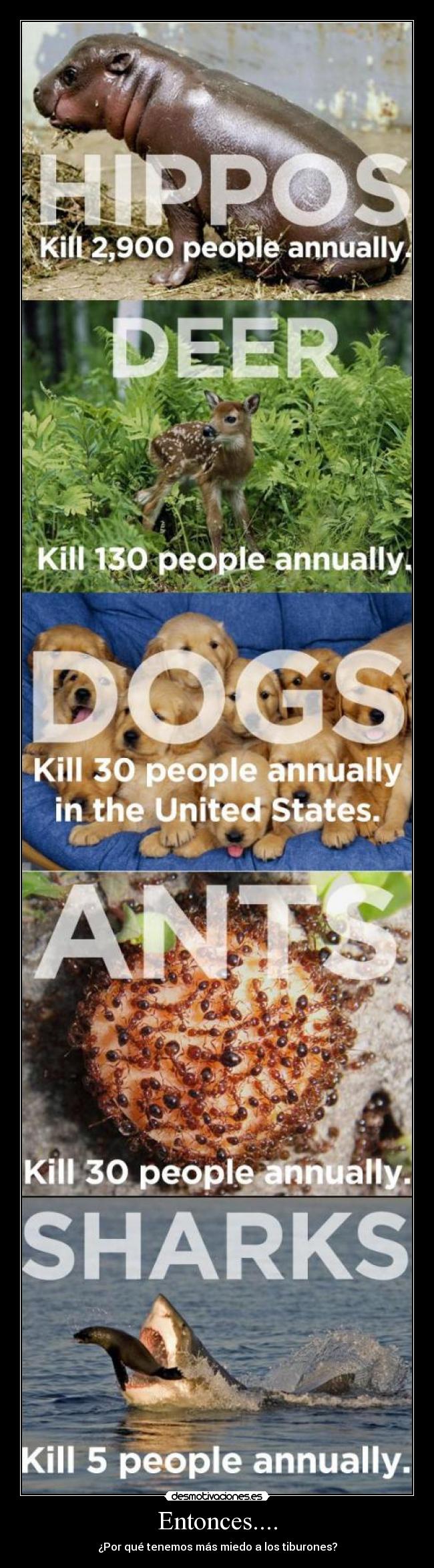 Entonces.... - ¿Por qué tenemos más miedo a los tiburones?