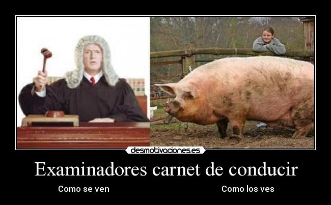 Examinadores carnet de conducir - Como se ven Como los ves