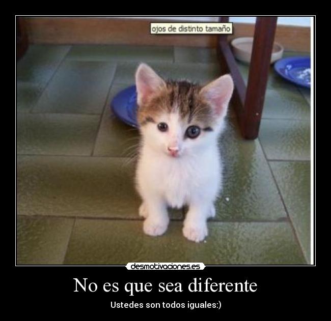 No es que sea diferente - 