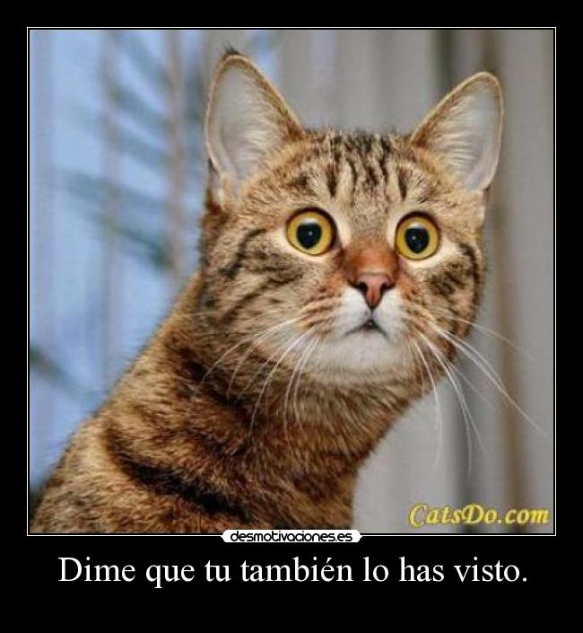 Dime que tu también lo has visto. - 